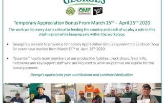 Temporary Appreciation Bonus