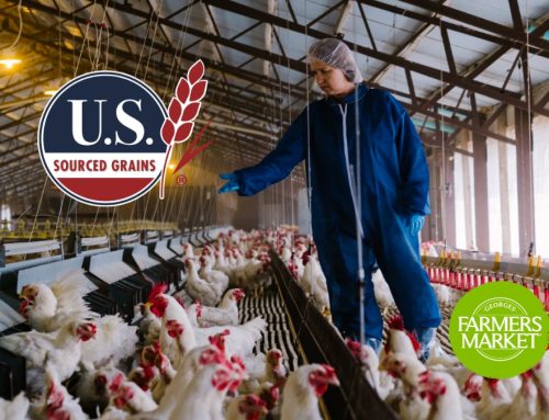 We Are What We Eat: Why Quality Ingredients Are So Important